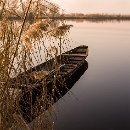 Foto-Forum BEFO-2014-  027